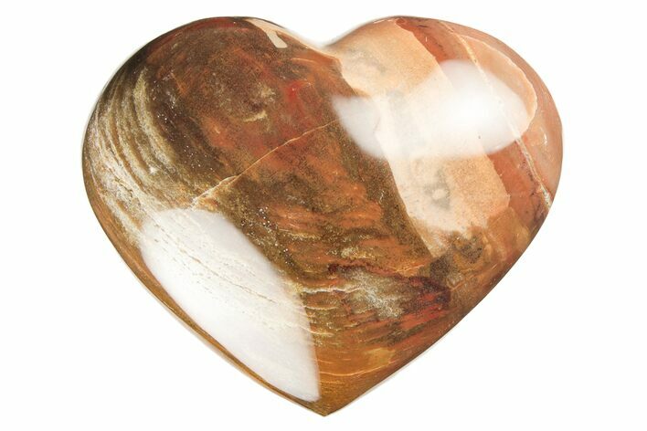 Polished Triassic Petrified Wood Heart - Madagascar #194917